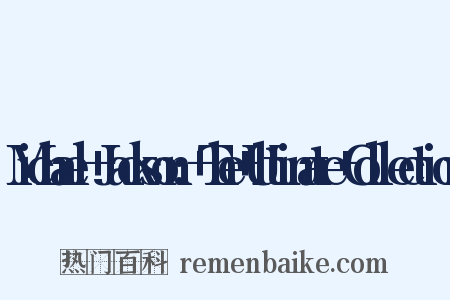 Michael+Jackson:+The+Ultimate+Collection是什么意思的图片